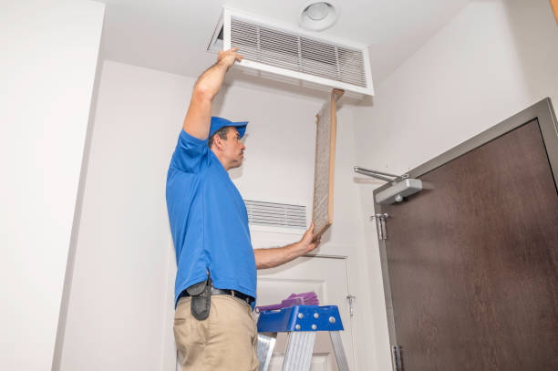 Air Duct Mold Removal in Dillon, SC